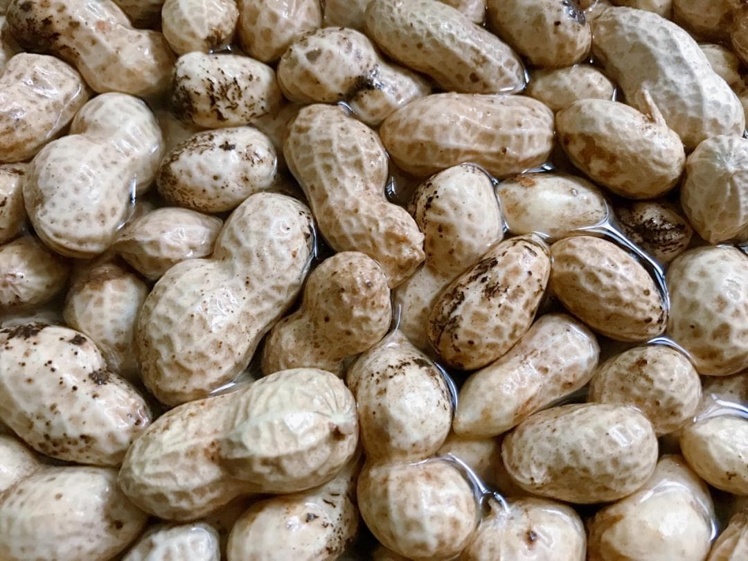 别急着扔！这3种食物出了芽营养更好！