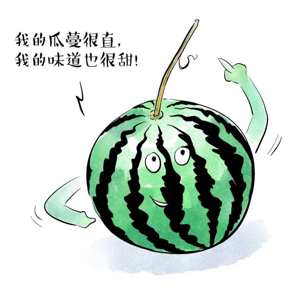 挑西瓜有讲究：这些流传已久的“秘诀”，靠谱吗？