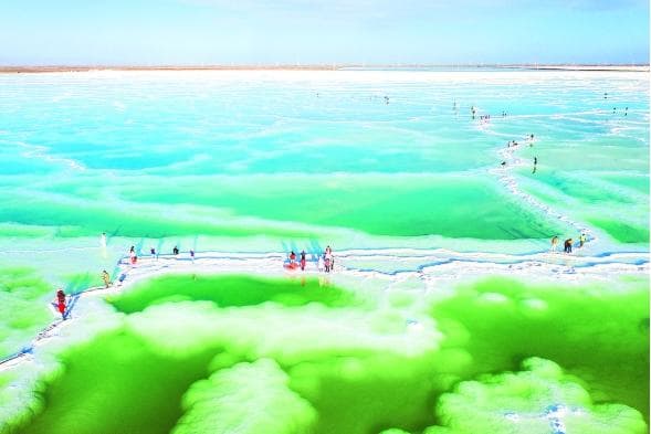 青海，让“绿色”更具价值
