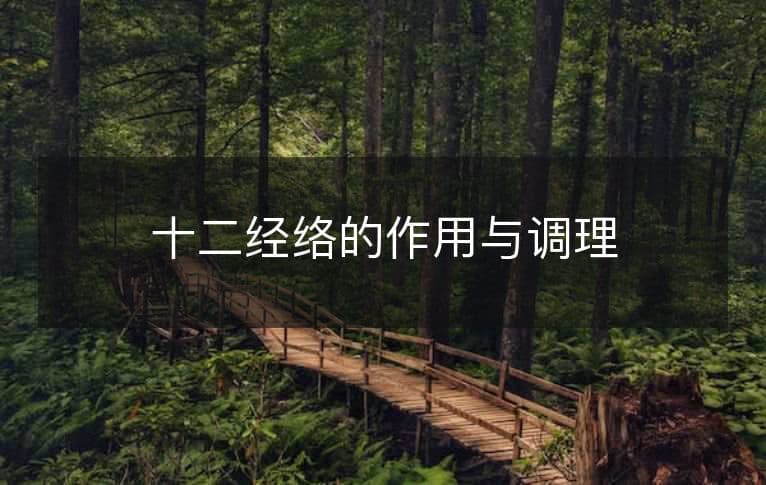 十二经络的作用与调理