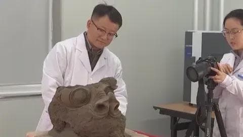 雄安新区发现唐代龙首文物，展现古代工匠精湛技艺
