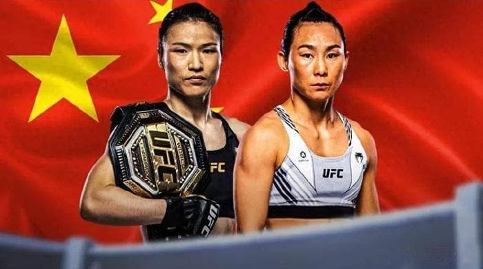 张伟丽赚了多少钱？外媒用真实数据揭秘，看完你就知道了差距