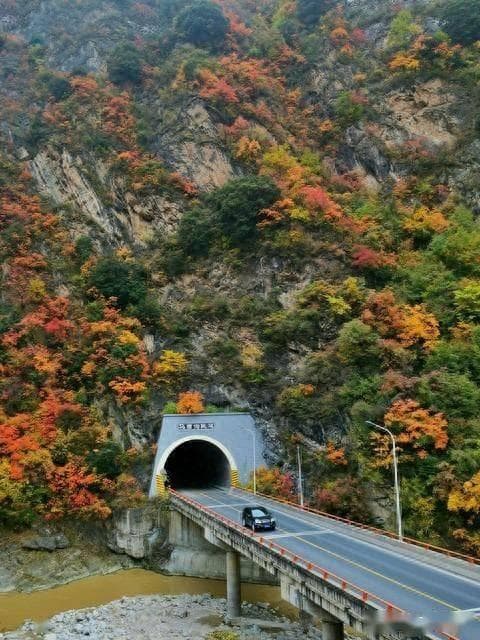 五条穿越秦岭的高速公路隧道，你走过几条