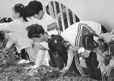 幼儿园饮食教育活动策略探析