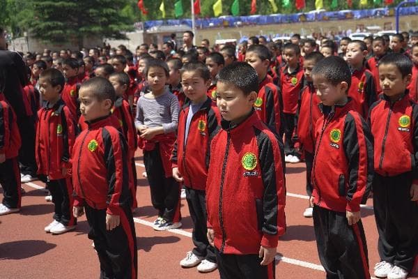适合小学生学习的六种武术及其好处