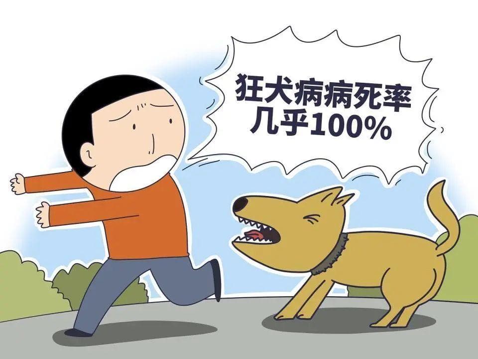 狂犬疫苗：你必须知道的接种要点与误区