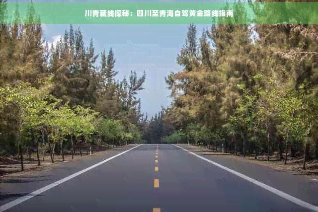 川青藏线探秘：四川至青海自驾黄金路线指南