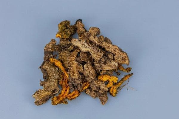 大肠湿热吃什么中药