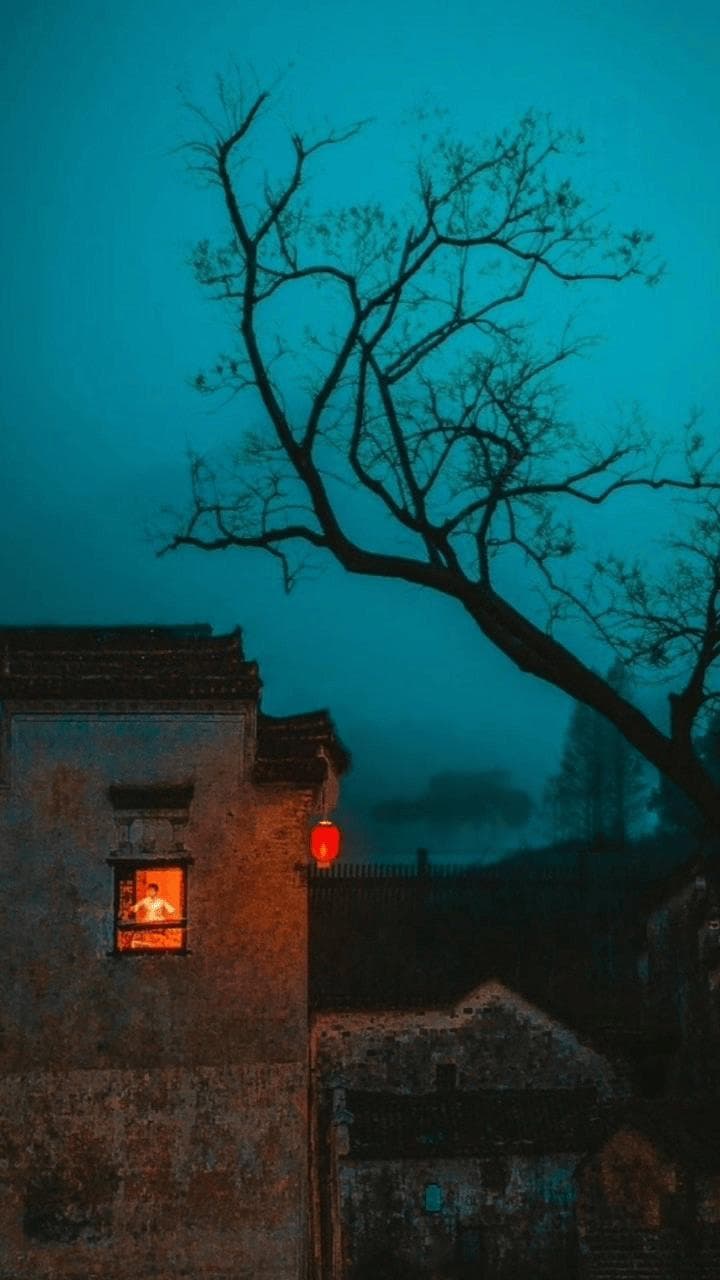 物是人非的诗意之殇