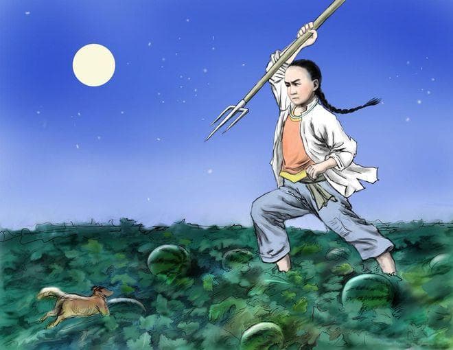 怎样归纳文章的主题以及文章的中心思想，有以下6种常用的方法！