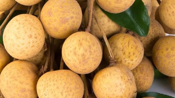 桂圆干的功效与食用指南：从营养价值到适宜人群的全面解析