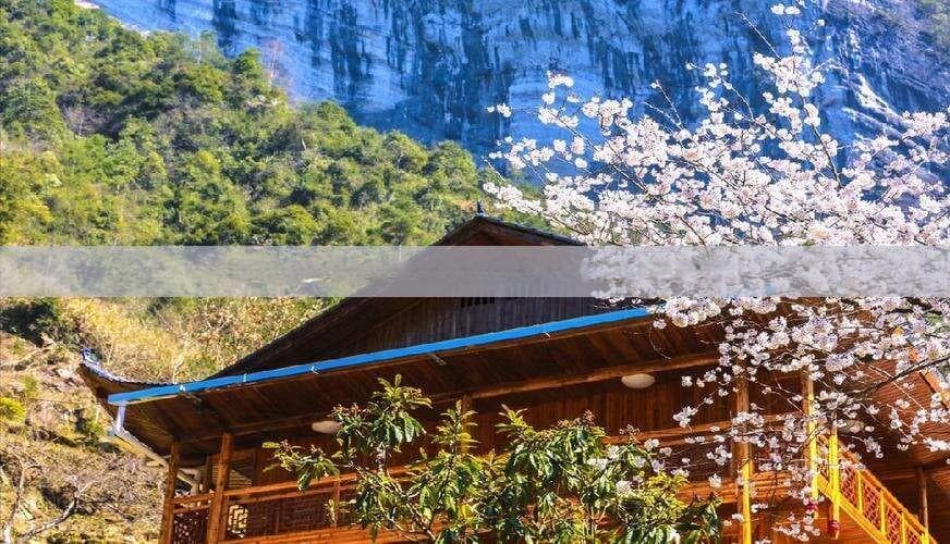 海南旅游摄影指南：最佳时间、热门景点与住宿推荐