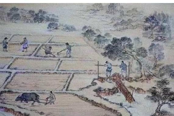 从奴隶到富商：商族地位变迁见证古代商业发展
