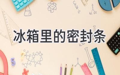 冰箱门封条老化怎么办？这份实用指南请收好