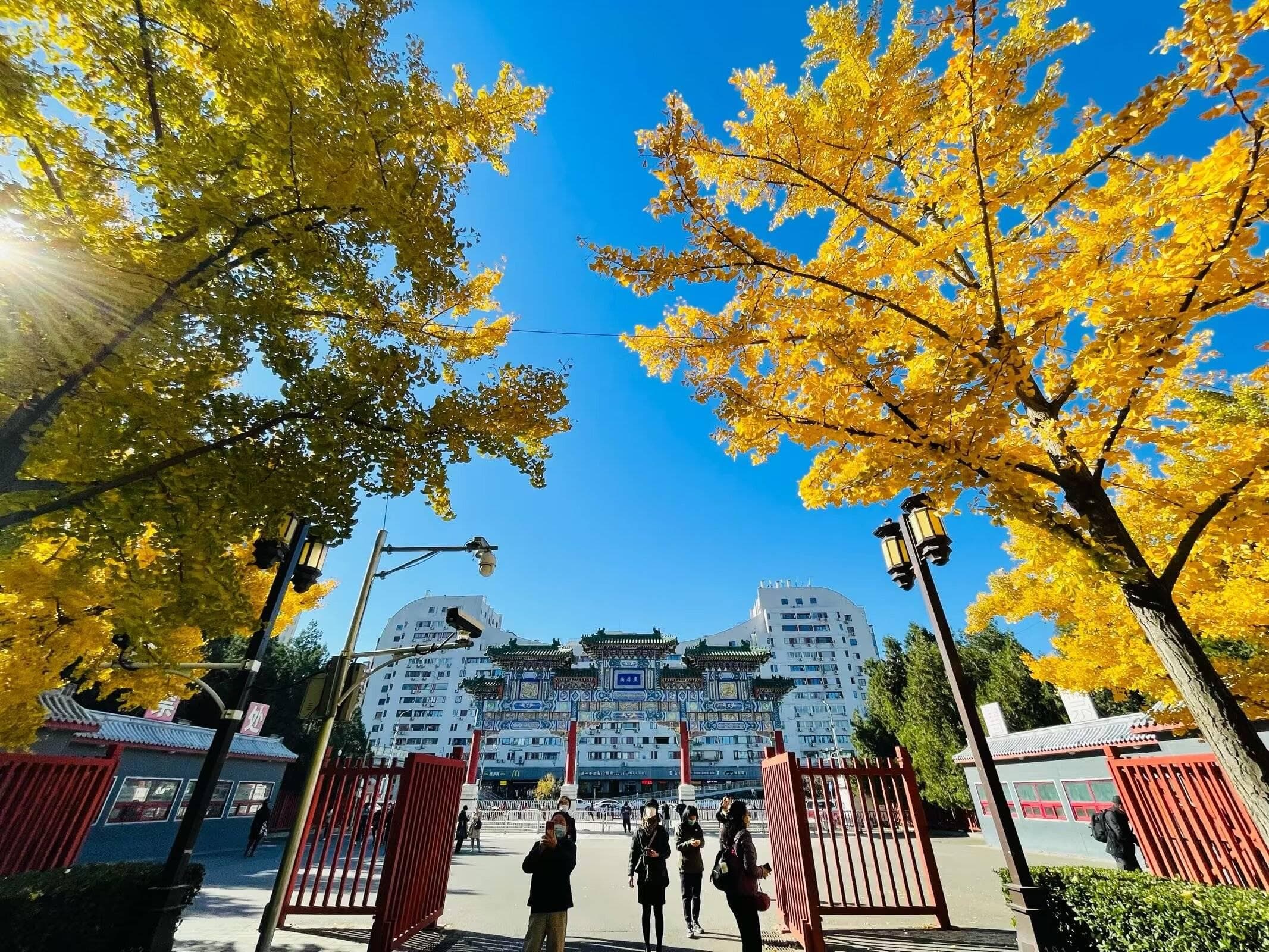 结构化面试实用技巧：从准备到表现全方位指南