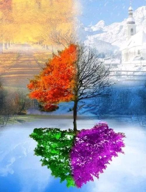 为什么四季的变化？四季变幻的秘密：地球倾斜带来的自然奇观!