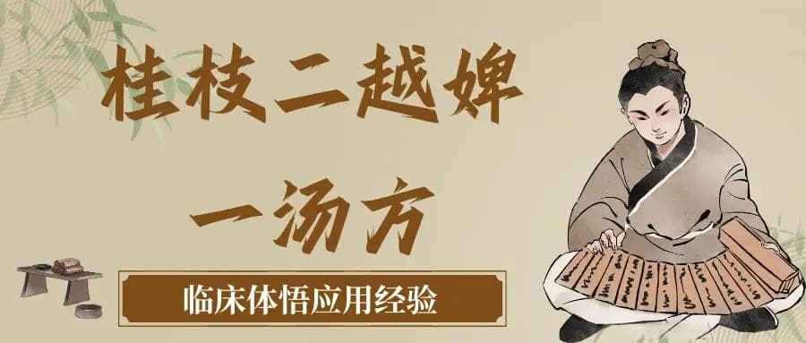 《伤寒论》祛风寒，清内热：桂枝二越婢一汤方 | 思维导图版