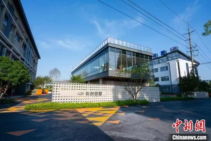 上海乡村“留量”密码：“活着的乡村”如何走出可持续发展之路？