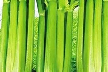 西芹的功效与作用