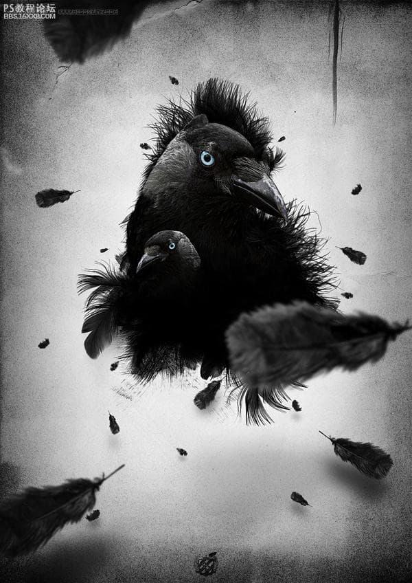Photoshop制作乌鸦羽毛黑白单色插图教程
