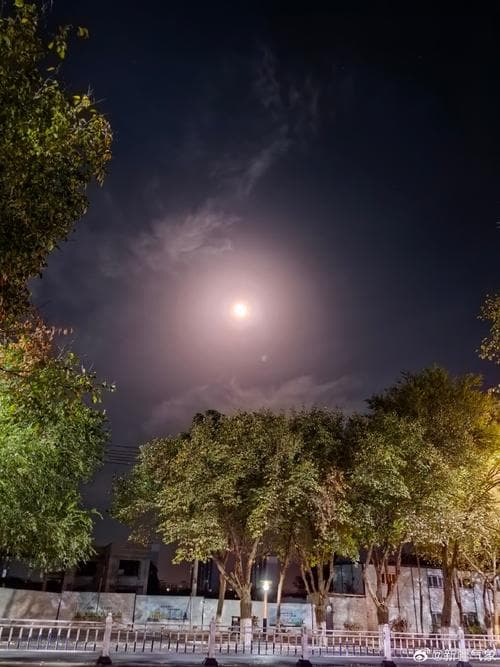 月明星稀：古诗词中的浪漫与现实