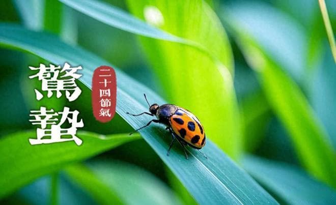 惊蛰时节：吃3样、做2事、忌3事，这样养生最有效
