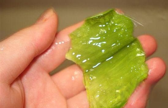 芦荟胶的功效与作用及使用误区 小心皮肤瘙痒过敏
