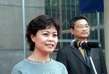 揭秘文坛巨擘：中国文联及作协主席铁凝的非凡人生篇章
