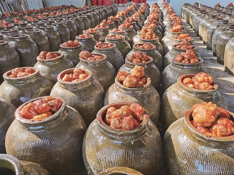 浙江余姚推动酱腌菜行业提质升级步不停