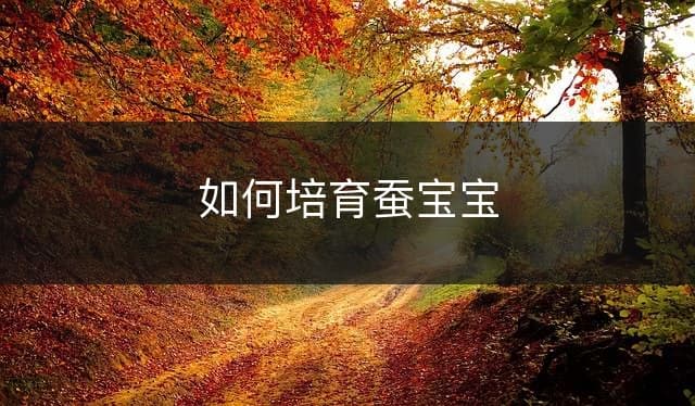 如何培育蚕宝宝