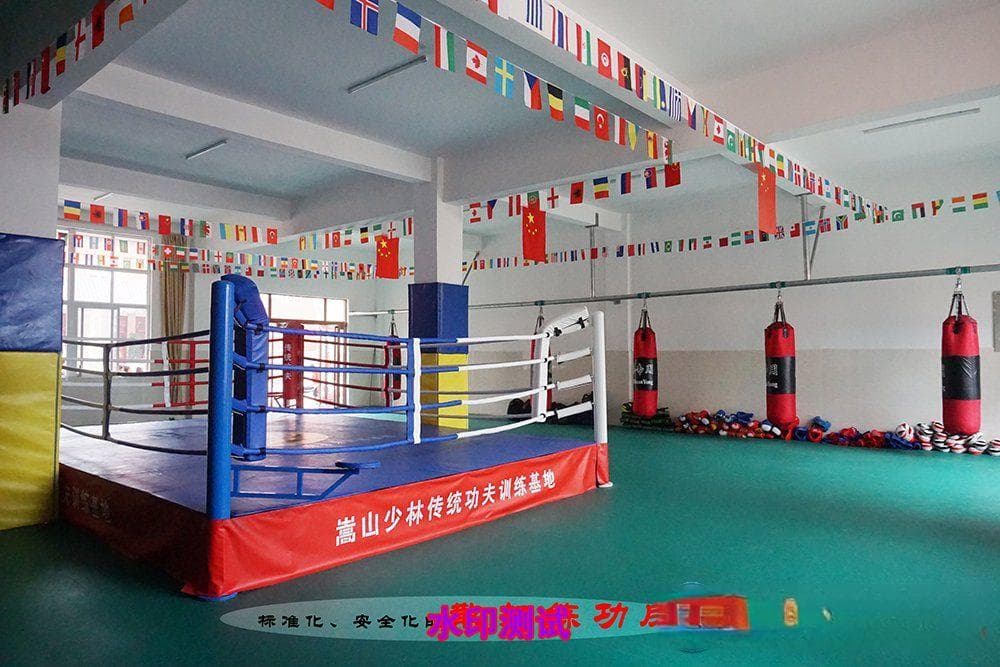 少林武术基本功教学攻略：深度探索少林武术的奥秘
