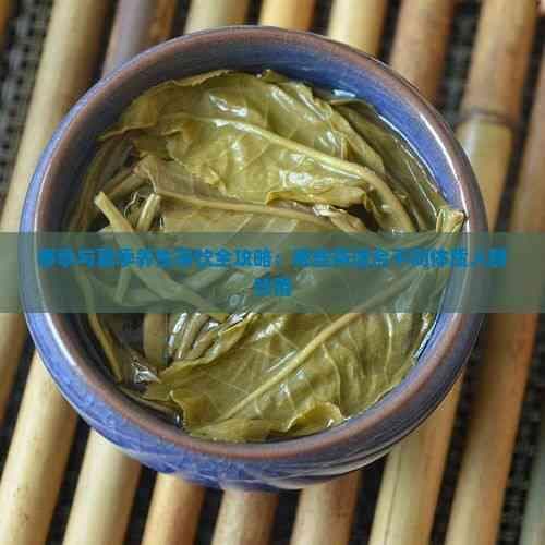 春季与夏季养生茶饮全攻略：哪些茶适合不同体质人群饮用