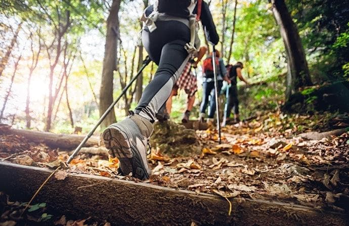 户外登山杖选购全攻略：材质、长度、结构一文详解