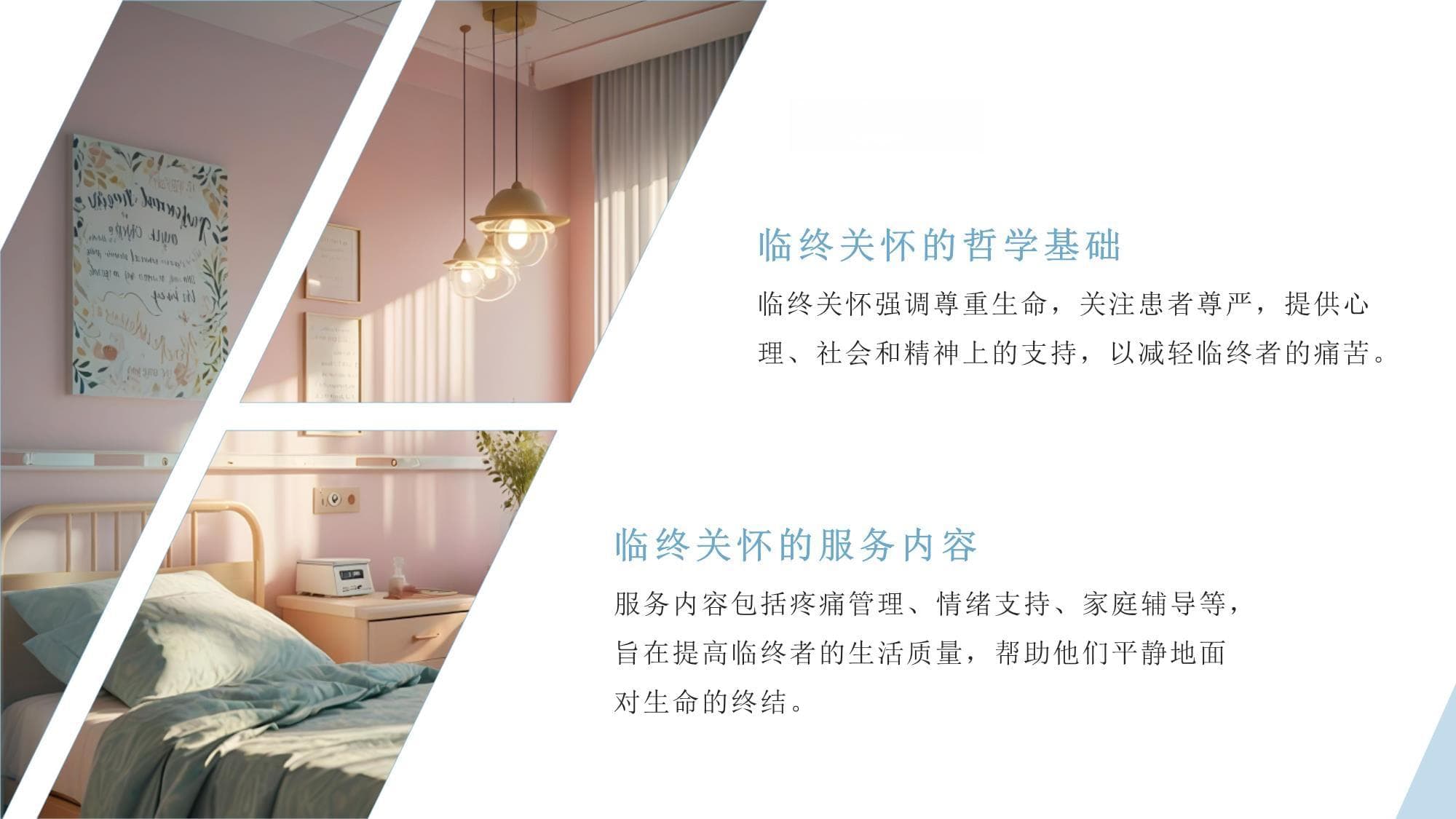临终关怀与情感支持