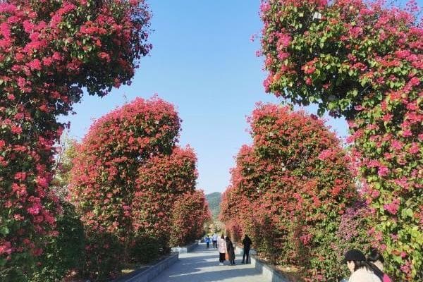 2024南宁青秀山风景区开放时间及游玩指南