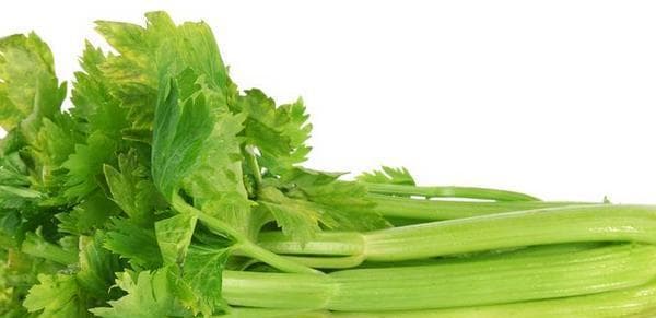 芹菜食用指南：热凉属性与十种养生食谱详解
