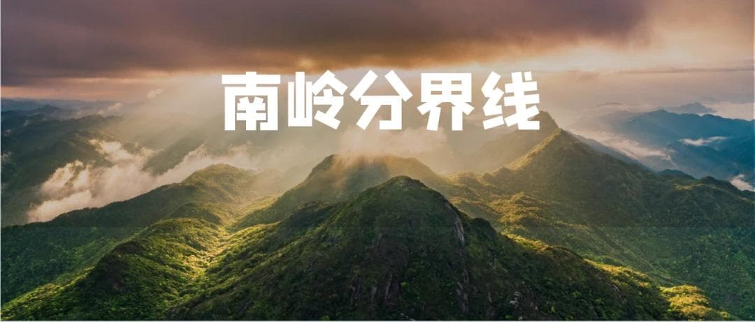 什么是南岭？