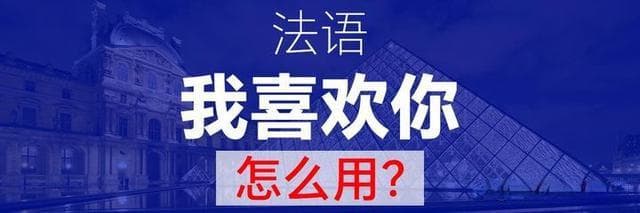 法语中"我喜欢你"的多种表达方式