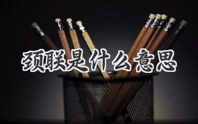 诗歌的脊梁：解读“颈联”的含义与作用