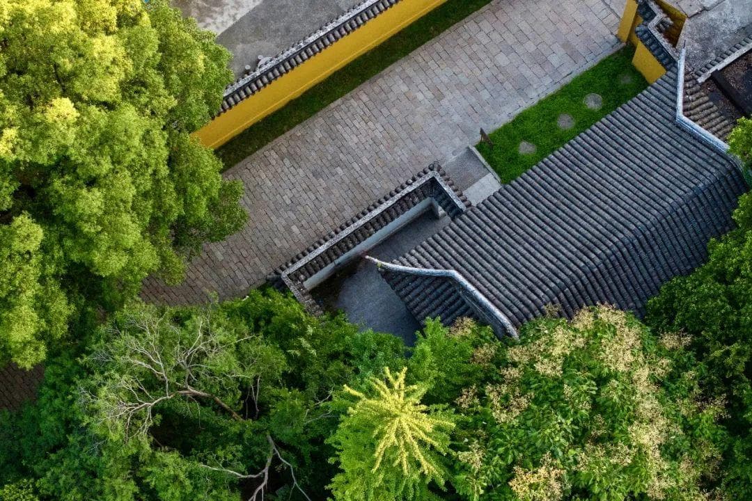 佛教“七觉支”：修行中的作用与培育方法