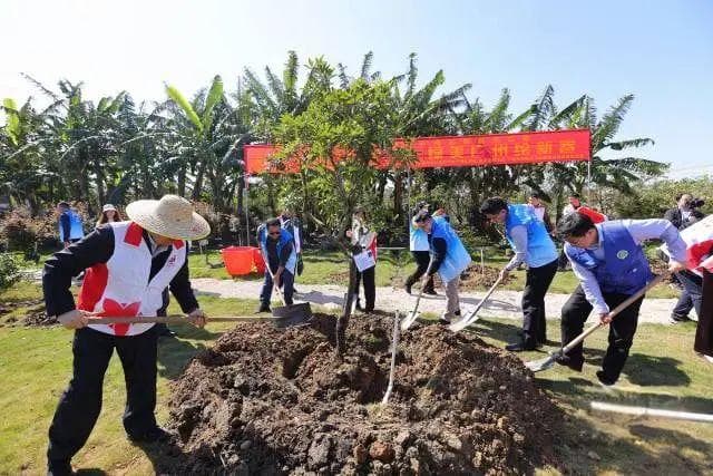 每年受众超600万人次！广州科技志愿服务如何点亮启蒙之光？