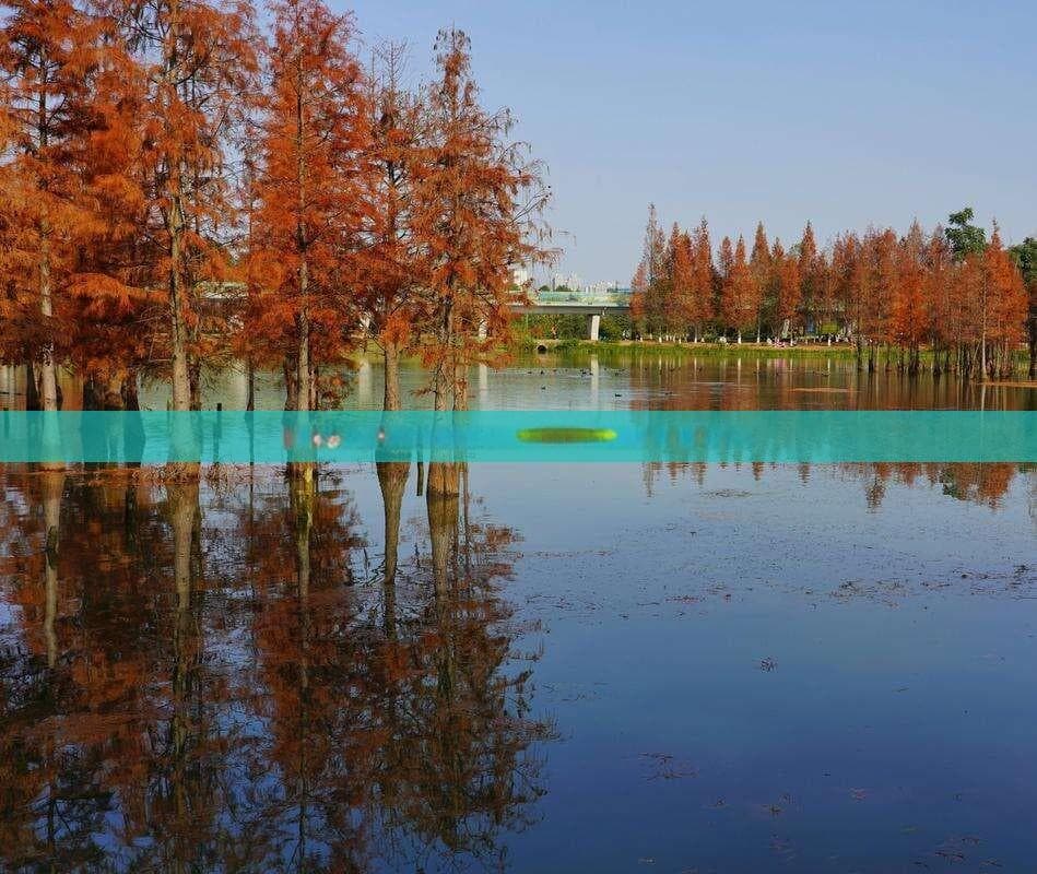 南通到张家界天门山自助游攻略：费用详解与行程规划