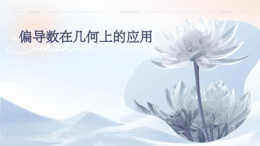 偏导数的应用
