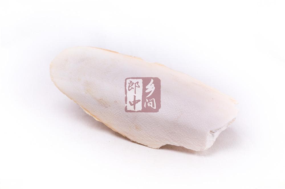 海螵蛸的功效与作用及现代药理研究
