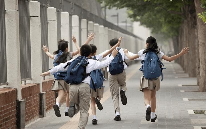 高才、优才的子女在香港入学政策和要求解读（幼稚园+小学篇）