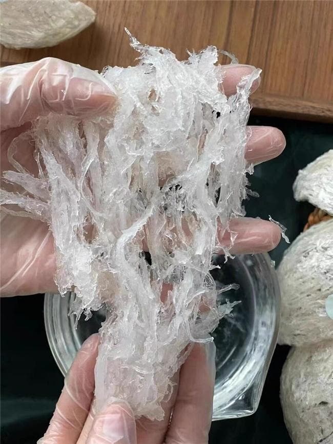 燕窝需要炖多久？大火还是小火炖？附详细步骤，一看就懂