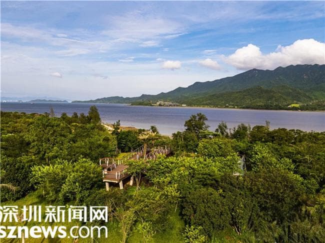 坝光亲水攻略：探索深圳东部自然与文化的瑰宝