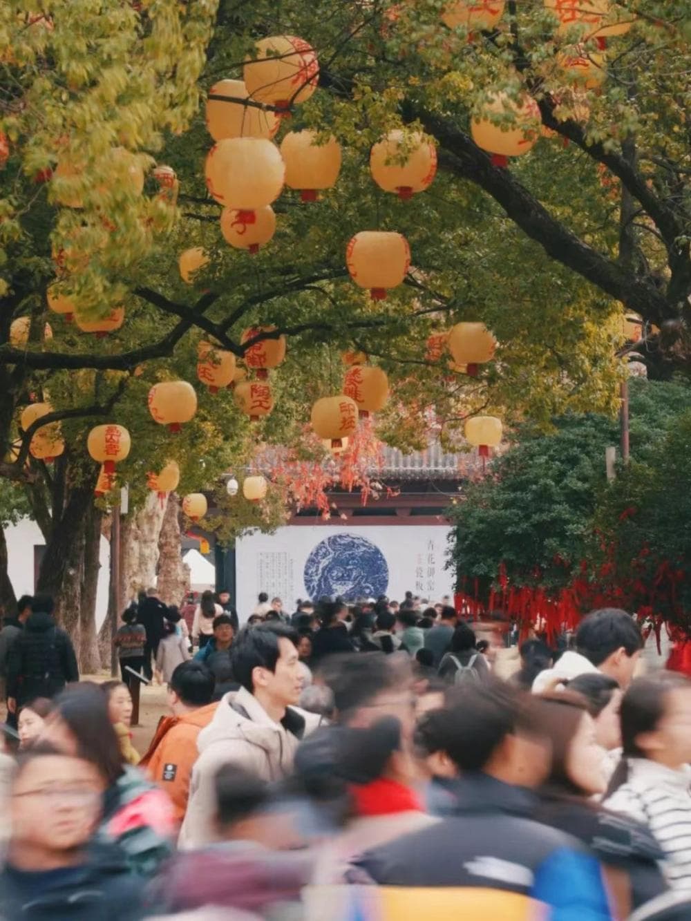 2025年春节，景德镇文旅活动精彩纷呈，带动当地经济蓬勃发展