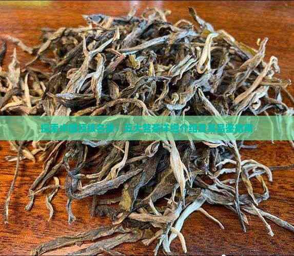 探索中国顶级名茶：五大茗茶详细介绍及其品鉴指南