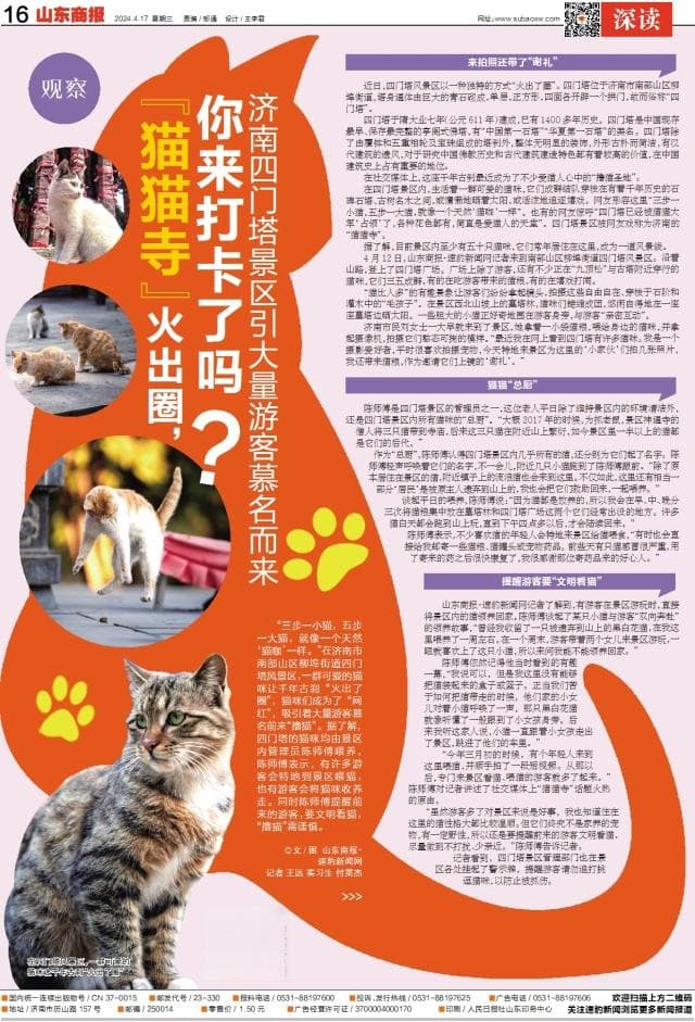 济南的“猫猫寺”火出圈，你来打卡了吗？